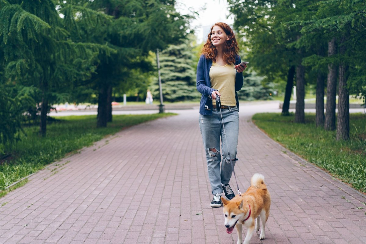 Young woman walking a small orange and white dog on a leash along a park path